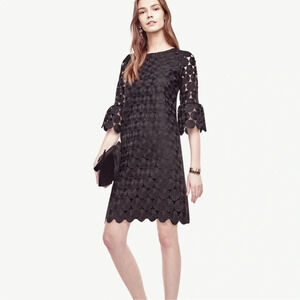 Ann Taylor NWT black 12 Circle Lace eyelet black long Bell sleeve dress Crochet